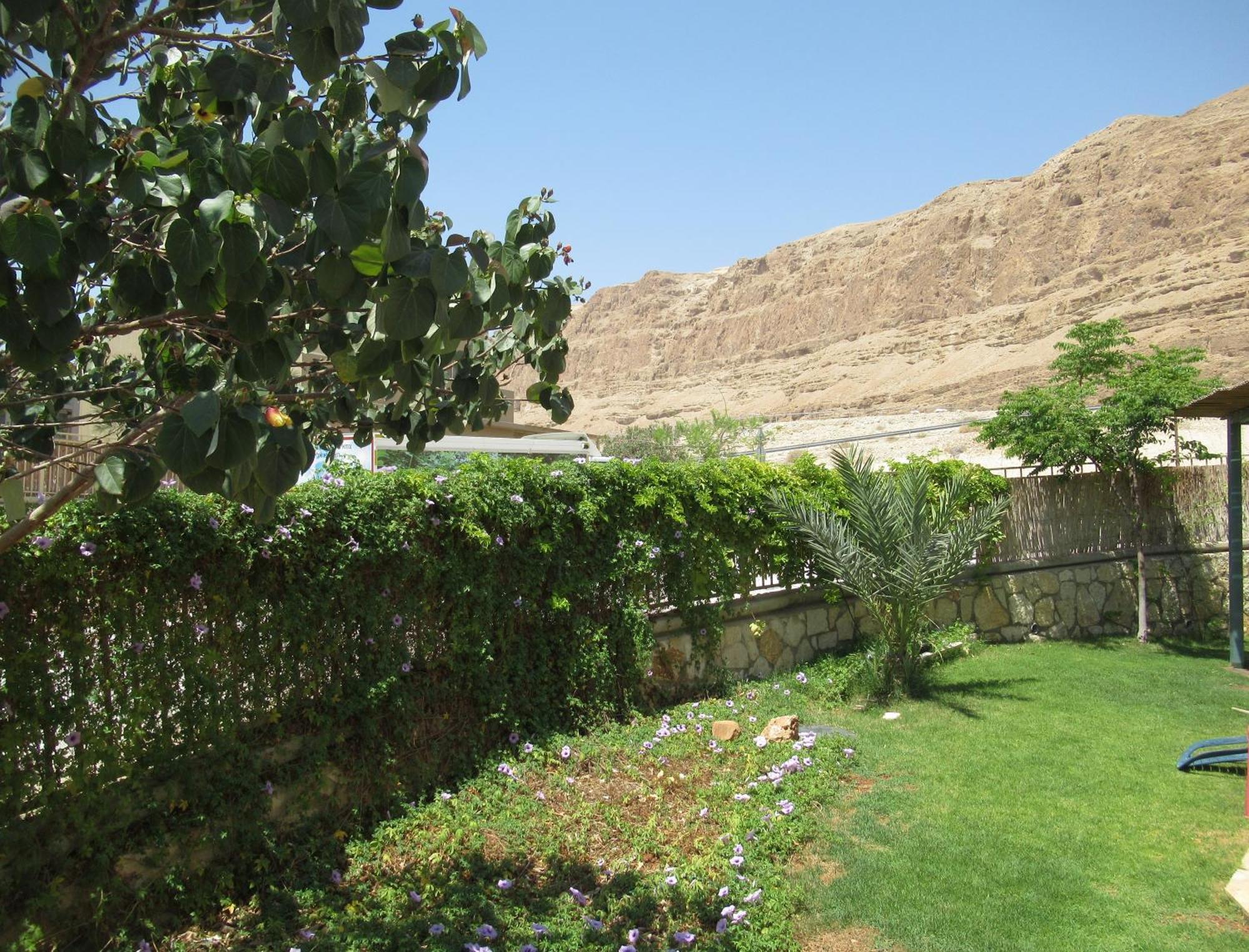 Unique&Warmy Place In The Dead Sea Avnat Esterno foto